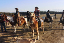 Високи грантове за развитие на туризма в Северозападна България с конна езда